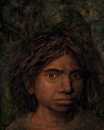 Long lost human relative unveiled – J-Wire